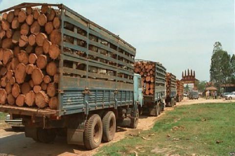 Ngành gỗ Việt Nam và cổ phiếu gỗ trước 