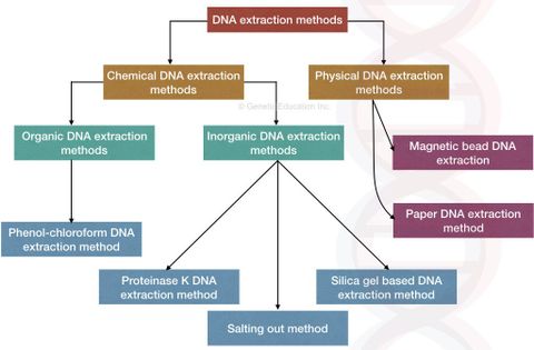 Khái quát các phương pháp tách chiết và tinh sạch DNA/RNA trong ngành công nghiệp sinh học phân tử