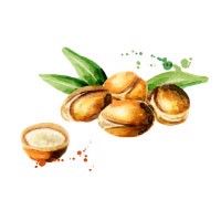Argan