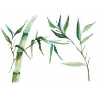 Bamboo