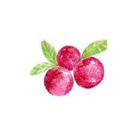 Bayberry