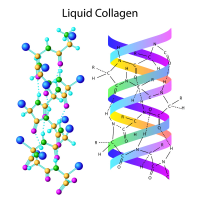 Biocell Collagen