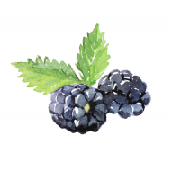 Blackberry