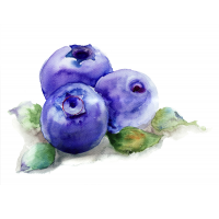 Blueberry