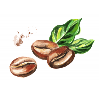 Caffeine
