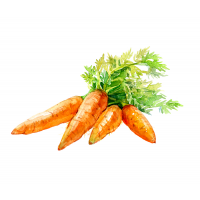 Carrot