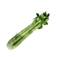 Celery