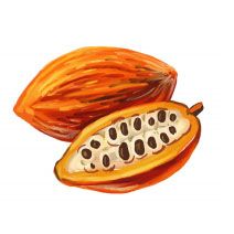 Cocoa