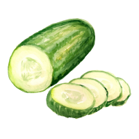 Cucumber