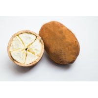 Cupuacu