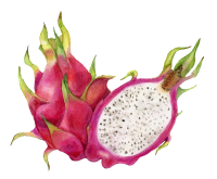 Dragon Fruit
