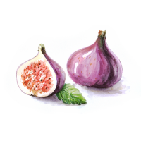 Fig