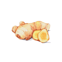 Ginger