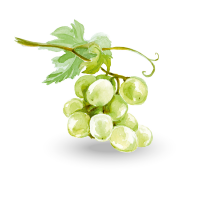 Grape