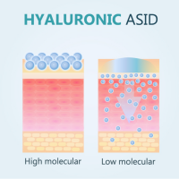 Hyaluronic Acid