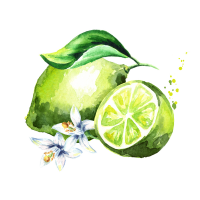 Lime