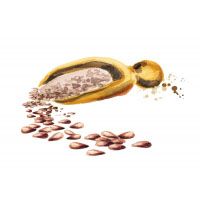 Linseed