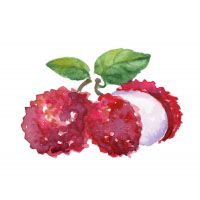 Lychee