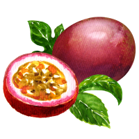 Maracuja