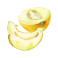 Melon