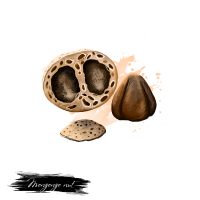 Mongongo