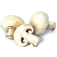Mushroom