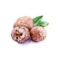 Nutmeg