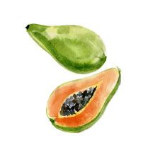 Papaya