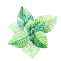 Peppermint