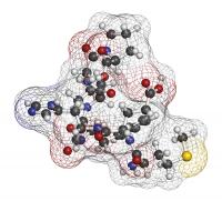 Peptide