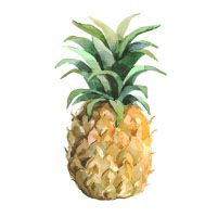 Pineapple