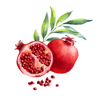 Pomegranate