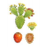 Prickly Pear