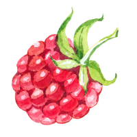 Raspberry