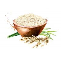 Rice
