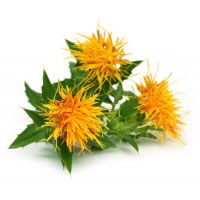 Safflower