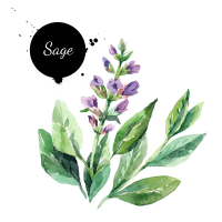 Sage