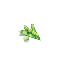 Soybean