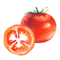 Tomato