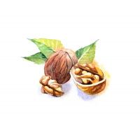Walnut