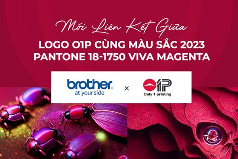 Mối Liên Kết Giữa Logo Only1printing Cùng Màu Sắc 2023 – PANTONE 18-1750 Viva Magenta