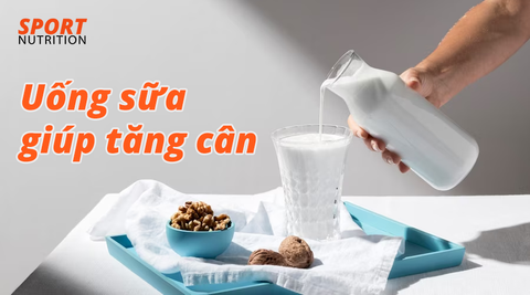 Uống sữa có thể tăng cân hay không?