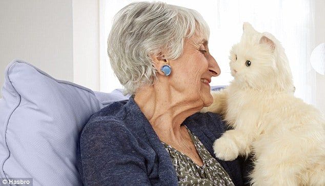 10 “tips” hữu ích cho chủ nuôi mèo làm quen và trở nên thân tiết với thú cưng của mình