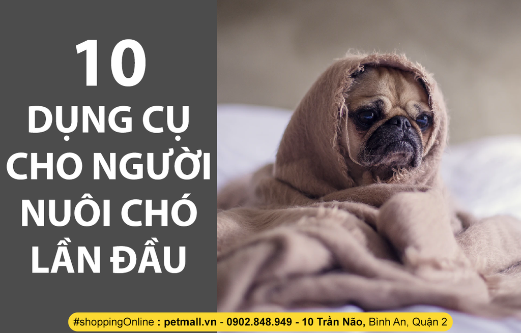 10 DỤNG CỤ CHO NGƯỜI NUÔI CHÓ LẦN ĐẦU
