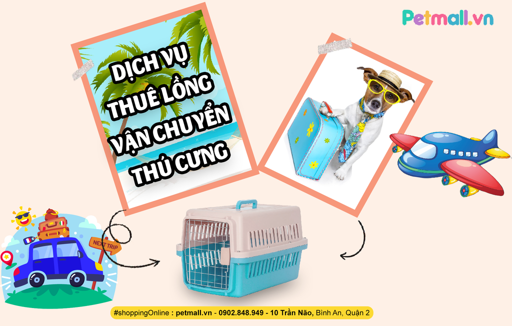 DỊCH VỤ THUÊ LỒNG VẬN CHUYỂN THÚ CƯNG