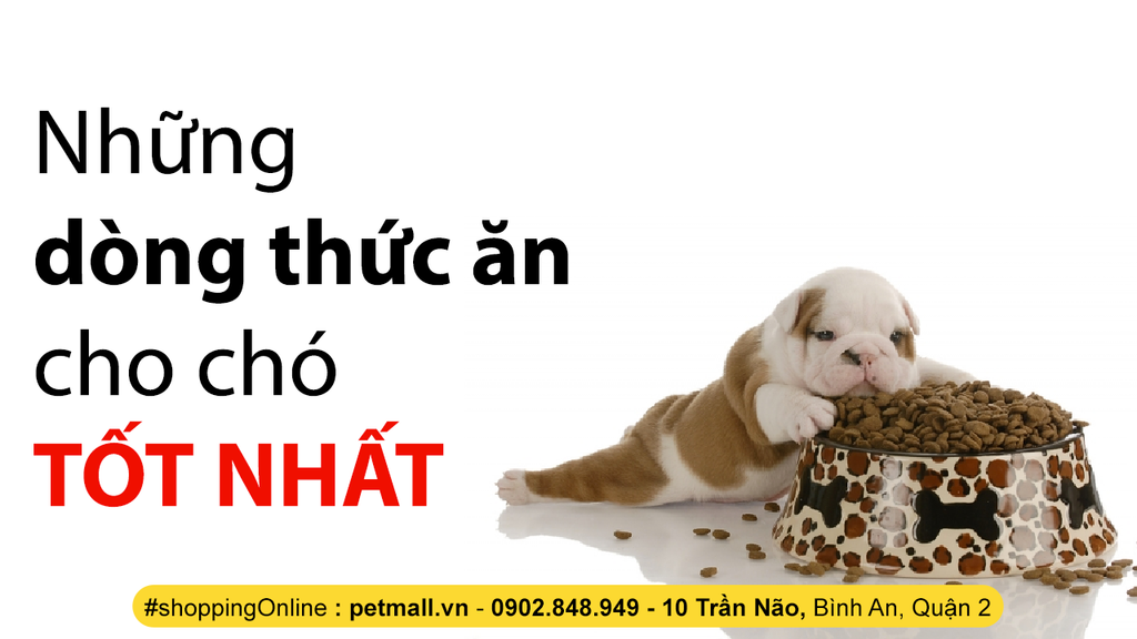 NHỮNG DÒNG THỨC ĂN CHO CHÓ TỐT NHẤT