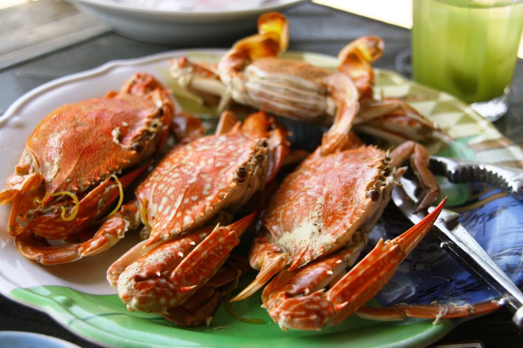 Ghẹ Phú Quốc có gì khác mà nổi tiếng đến vậy ai ơi!!!