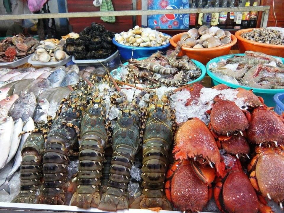 Làng chài Hàm Ninh ( Phú Quốc ) thiên đường hải sản