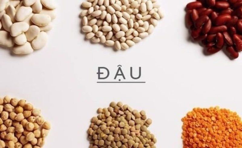Các loại đậu tốt cho bé ăn dặm - Sức khỏe và dinh dưỡng cho bé yêu