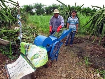 Kinh nghiệm trồng thanh long ở Đài Loan